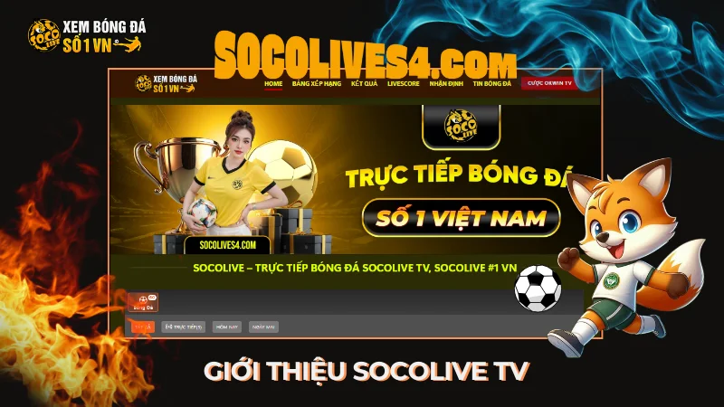Giới Thiệu Kênh Trực Tiếp Bóng Đá Socolive