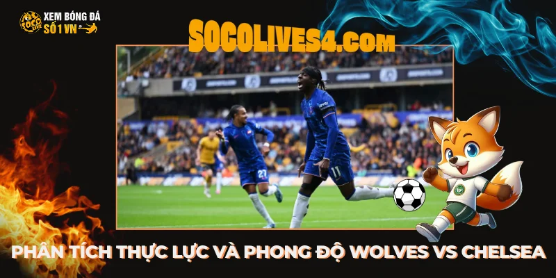 Phân tích thực lực và phong độ gần đây của Wolves vs Chelsea