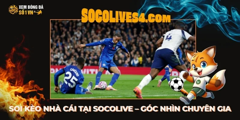 Soi kèo nhà cái tại Socolive – Góc nhìn chuyên gia